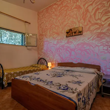 Farm stay Agriturismo Il Poderino *